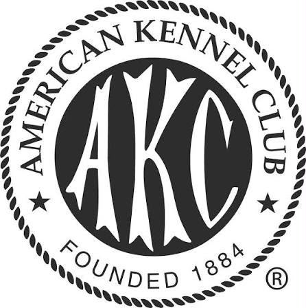 American Kennel Club